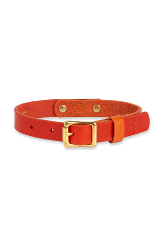 Bicolour Dog Collar Orange/Red