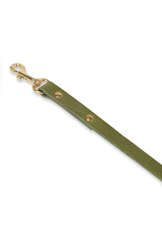Olive Green/Electric Blue Leash